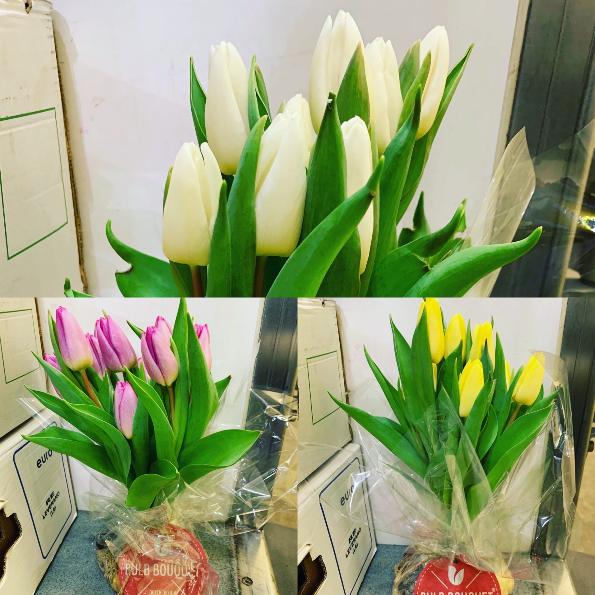 Bulb bouquet