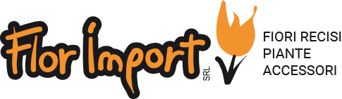 Florimport